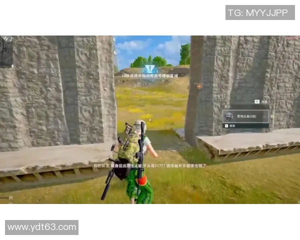 聚焦和平精英:探索LNG战队的实力与战术魅力